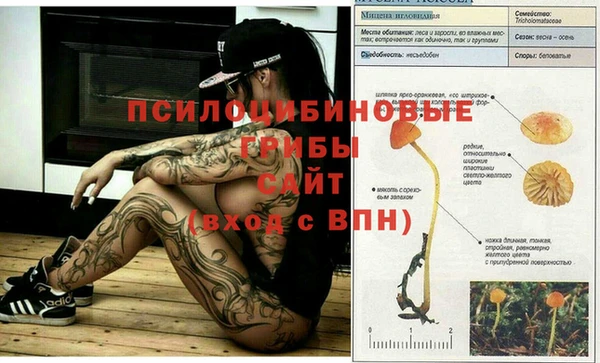 кокаин Дмитриев