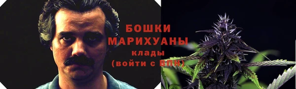 винт Дмитров