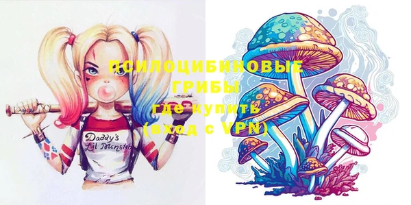 винт Дмитров