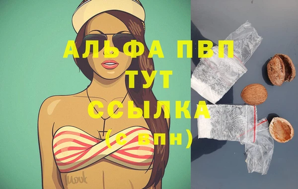 винт Дмитров