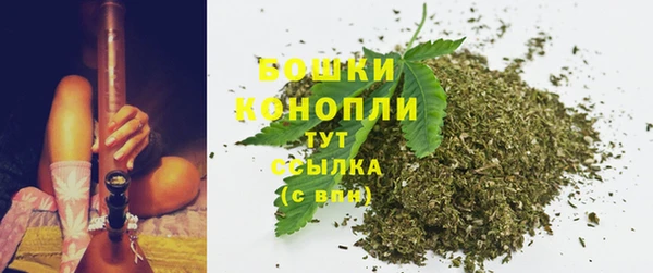 крисы Гусь-Хрустальный