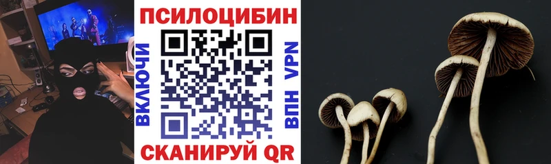 Псилоцибиновые грибы GOLDEN TEACHER blacksprut вход Копейск даркнет сайт